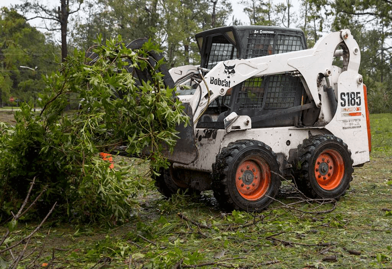 Lot Clearing